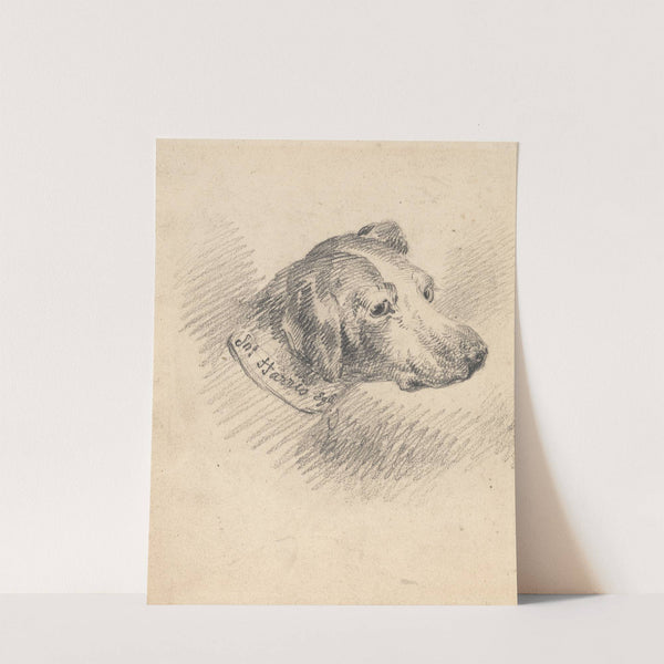 Head of a Hound by George Morland