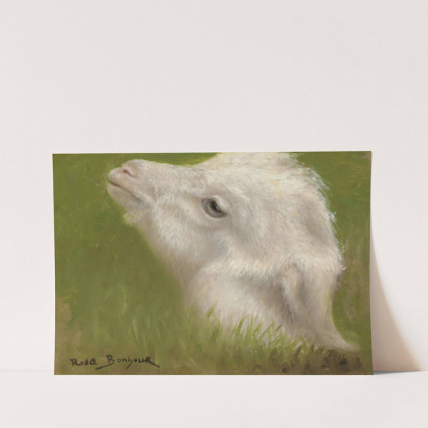 Head Of A Lamb by Rosa Bonheur