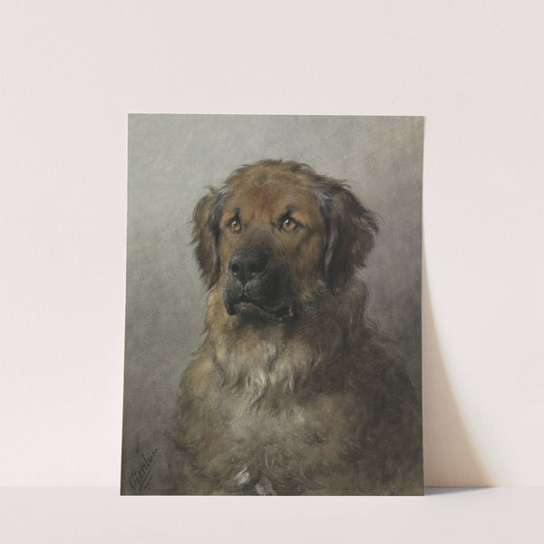 Head of a Leonberger by Otto Eerelman