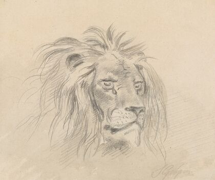 Head of a Lion.