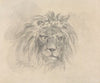 Head of a Lion