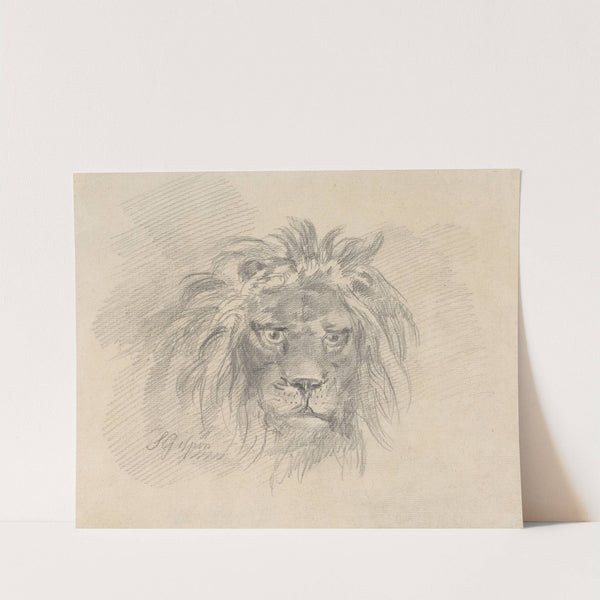 Head of a Lion by Sawrey Gilpin