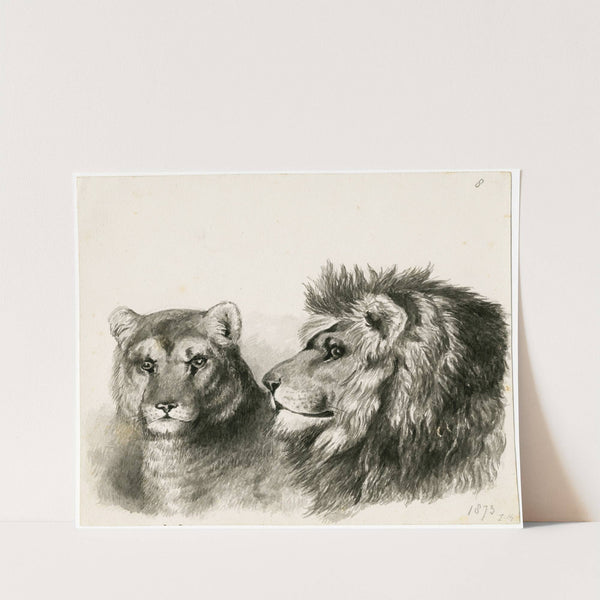 Head of a lion and lioness (1873) by Floris Verster