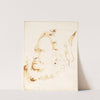 Head of a Magician (c. 1760) by Giovanni Battista Tiepolo