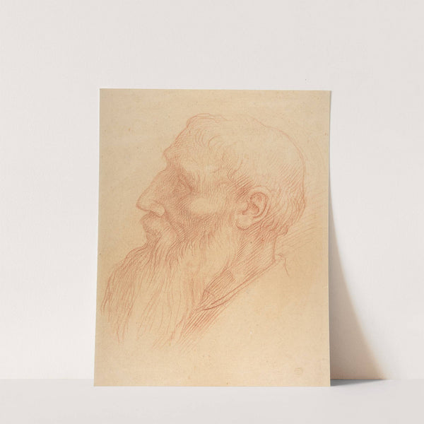 Head of a Man (1837–1911) by Alphonse Legros