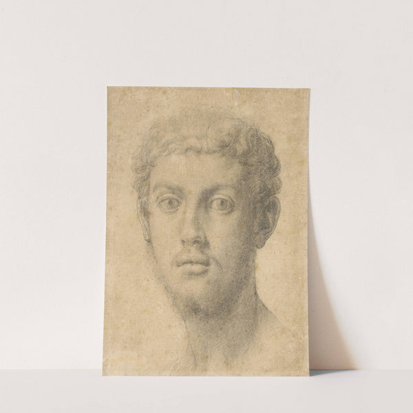 Head of a Man (1550–1555) by Agnolo Bronzino