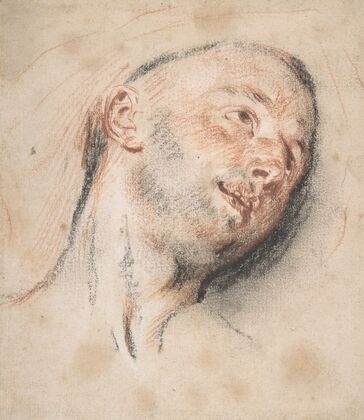 Head of a Man
