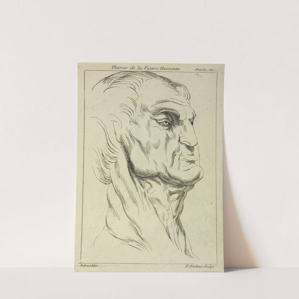 Head of a man by Peter Paul Rubens