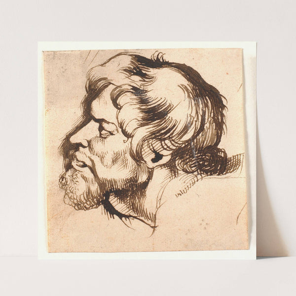 Head of a man by Anthony van Dyck