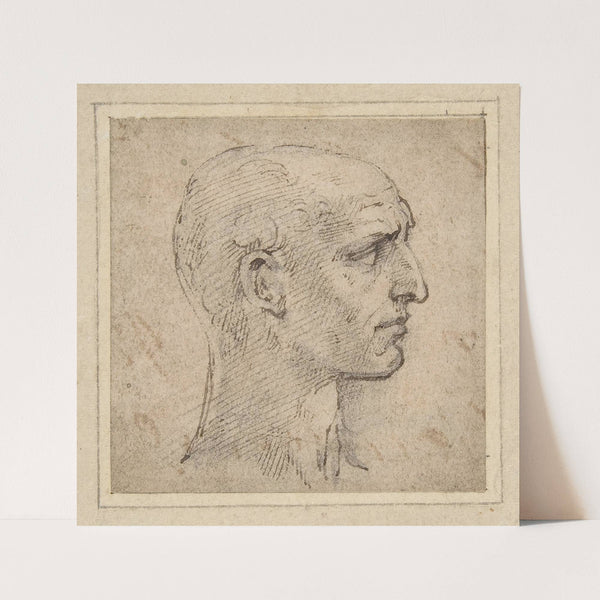 Head of a Man in Profile to Right by Parmigianino