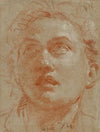 Head of a Man Looking Up