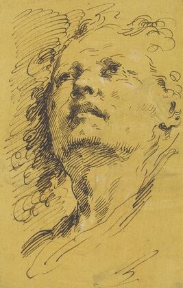 Head of a Man Looking Up
