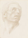 Head of a Man Looking Up to the Right