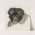 Head of a monkey (1873) by Floris Verster