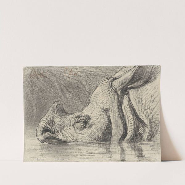 Head of a Rhinoceros, Half Submerged in the Water by August Allebé