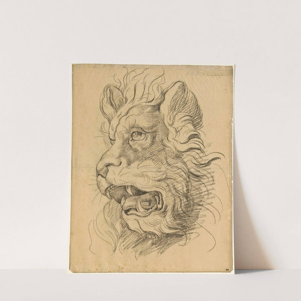 Head of a roaring lion by David Humbert de Superville