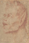 Head of a Satyr Facing Left