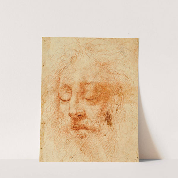 Head of a Sleeping Man by Correggio