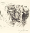 Head of a Steer (Stierkopf) (1912)