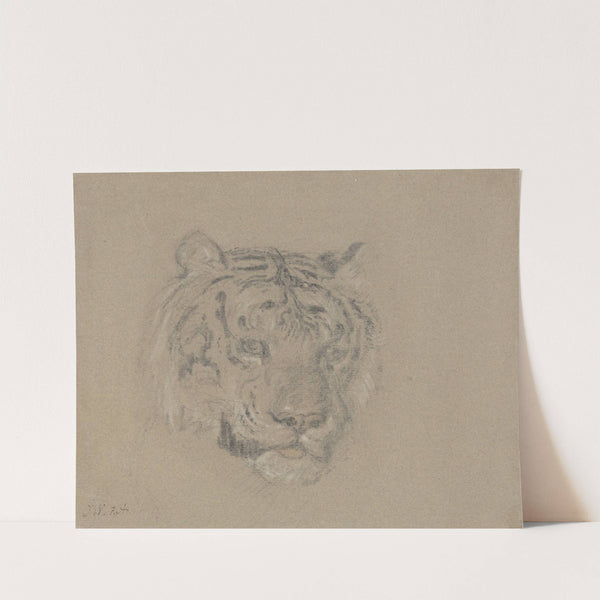 Head of a Tiger by James Ward