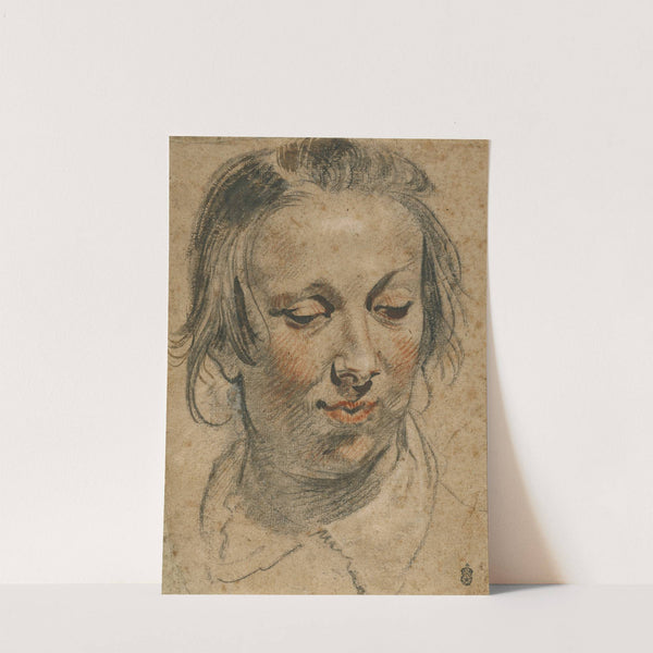 Head of a Woman by Jacob Jordaens