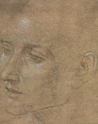 Head of a Young Man