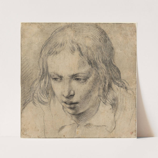 Head of a Young Man (recto) by Dutch 17th Century