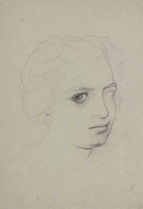 Head of a young woman