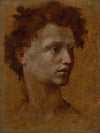 Head of a Youth