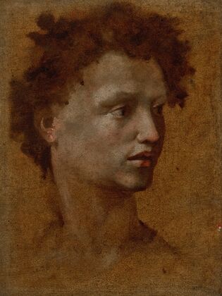 Head of a Youth
