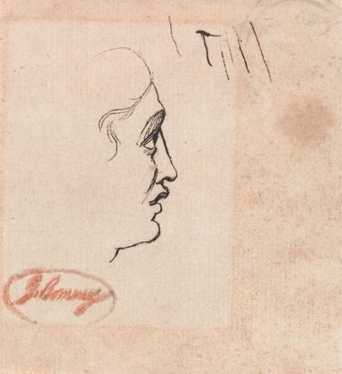 Head of a Youth