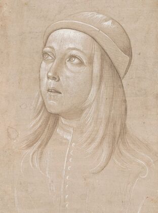 Head of a Youth Looking Up