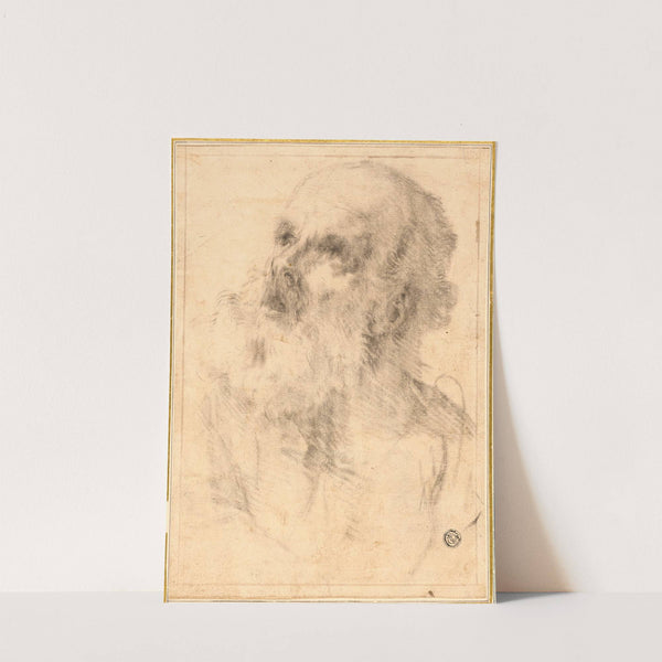 Head of an Old Man by Bartolomé Estebán Murillo