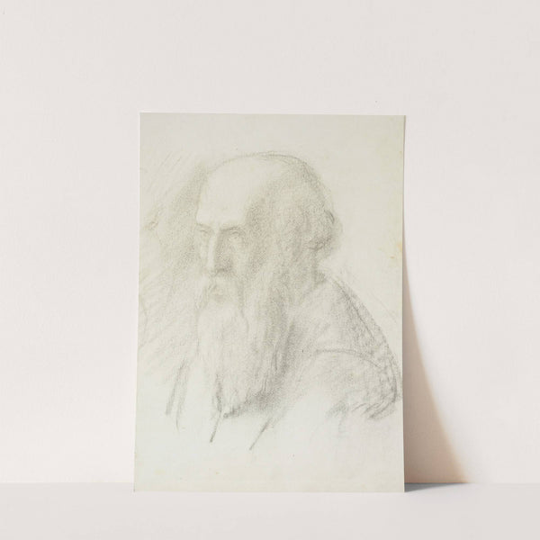 Head of an old man by Petrus van der Velden