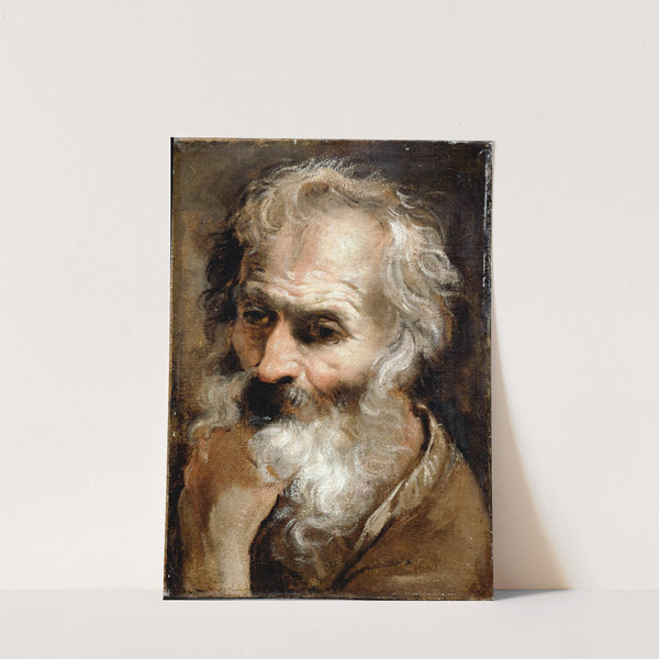 Head of an Old Man by Annibale Carracci