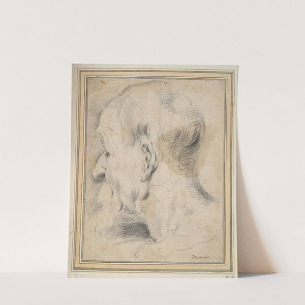 Head of an Old Man in Profile by Camillo Procaccini