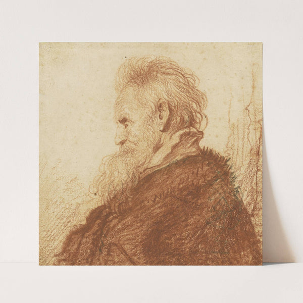 Head of an Old Man (recto) by Rembrandt van Rijn