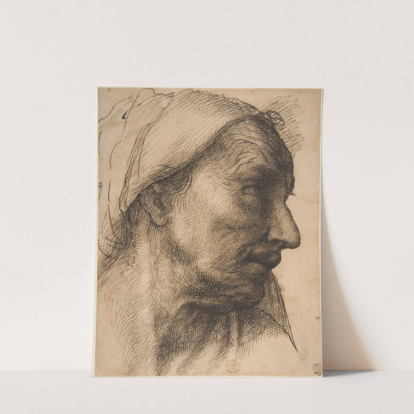 Head of an Old Woman by Sebastiano del Piombo