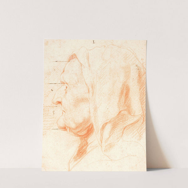 Head of an Old Woman, in Left Profile by Jacob Jordaens