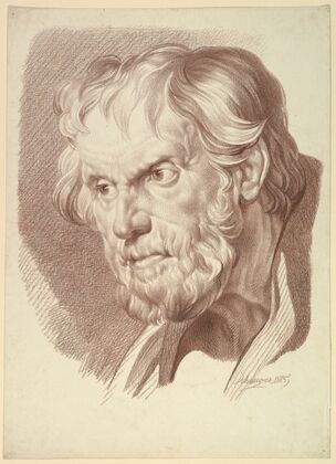 Head of Bearded Old Man (1805)