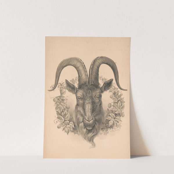 Head of goat (1900) by C. W. Girsch