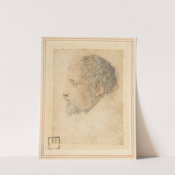 Head of man in Profile to Left by Parmigianino
