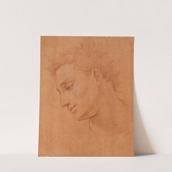 Head of Man in Profile to the Left by Girolamo Macchietti