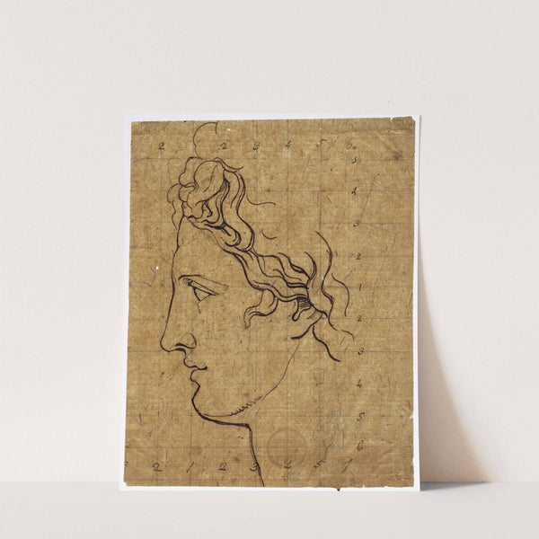 Head of the Apollo Belvedere, seen in profile by David Humbert de Superville