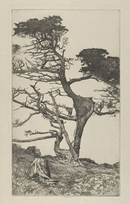 Head of the Ostrich (1915)