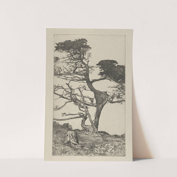 Head of the Ostrich (1915) by Ernest Haskell