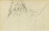 Head on view of seated lion