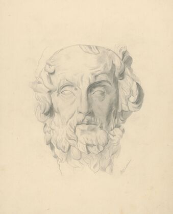 Head study