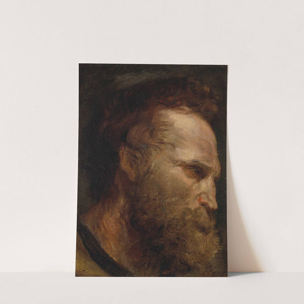 Head study of a bearded man by Anthony van Dyck