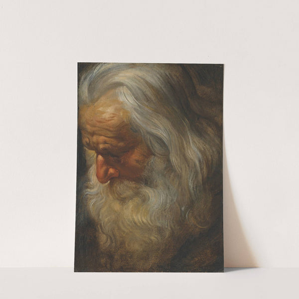 Head study of a bearded old man by Peter Paul Rubens